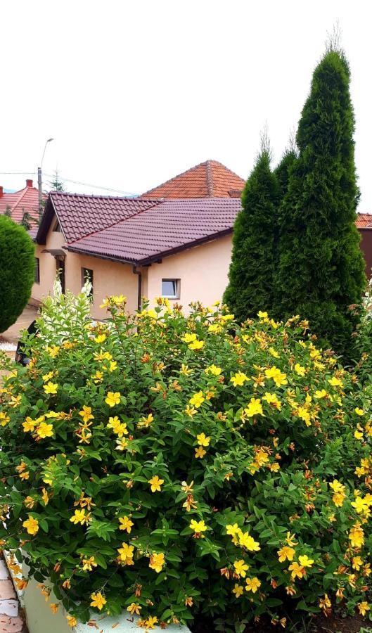 Hotel Silva House à Deva Extérieur photo