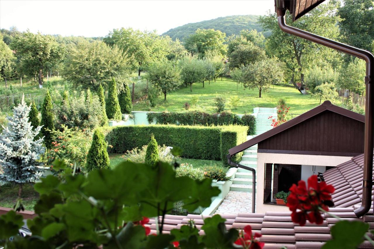 Hotel Silva House à Deva Extérieur photo