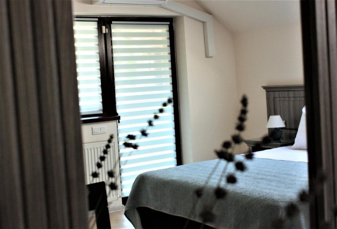 Hotel Silva House à Deva Extérieur photo