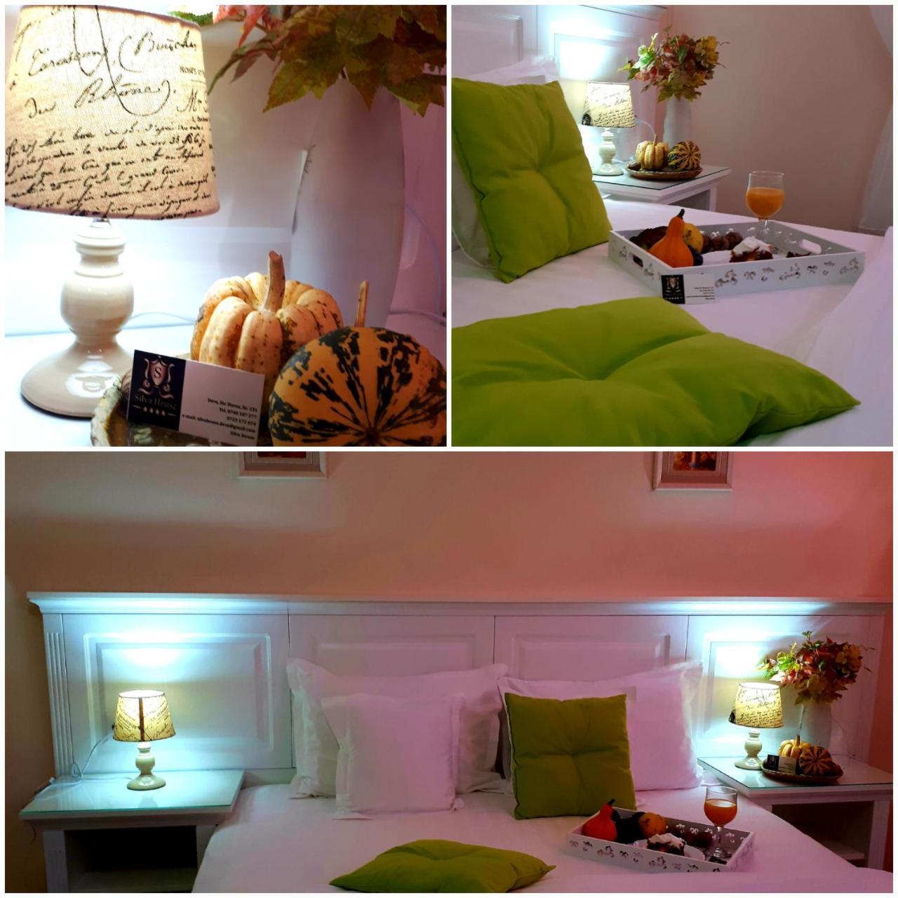 Hotel Silva House à Deva Extérieur photo